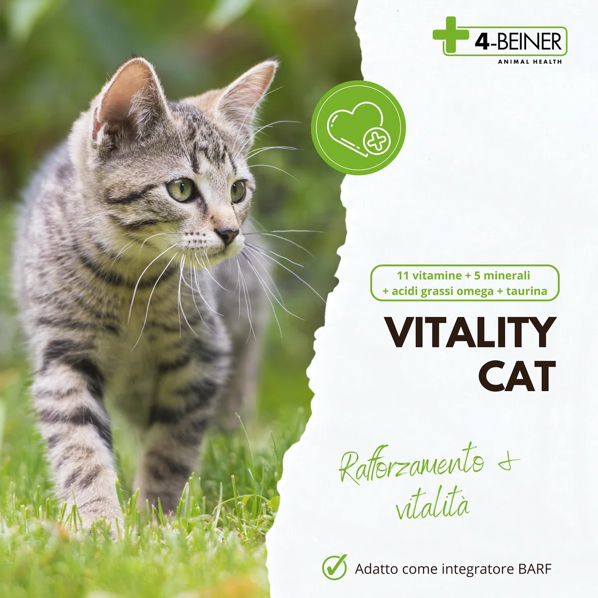 4-BEINER VITALITY-CAT, 11 vitamine per gatti più Omega 3, Omega 6, Zinco, Selenio, Manganese, Rame, Ferro, Taurina, Multivitamine per gatti, polvere