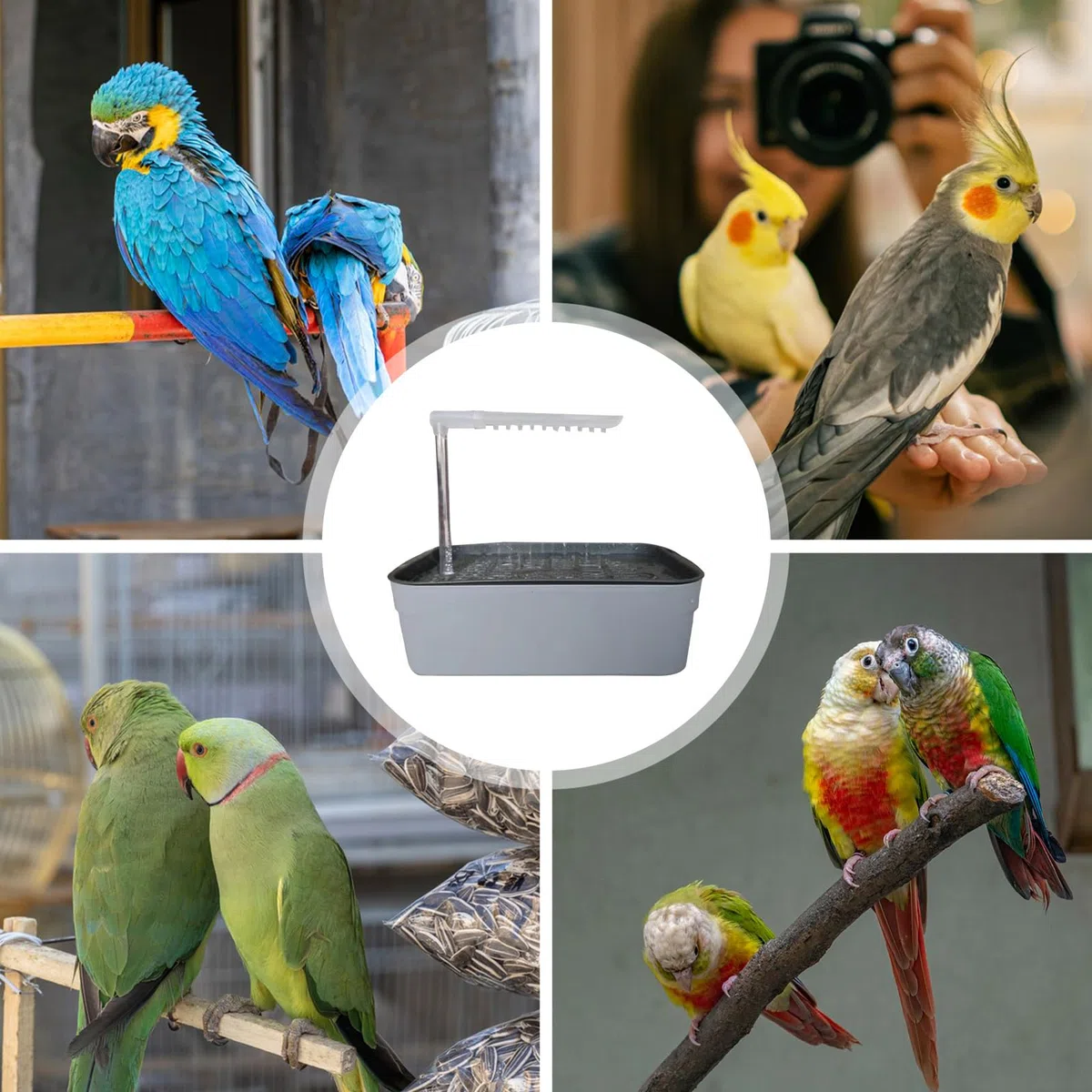 per Uccelli - Doccia Automatica per Animali Domestici, Accessorio da Bagno per calopsittes Alimentato da USB, Strumento di igiene per Gabbia compatta | per Piccole e Medie r