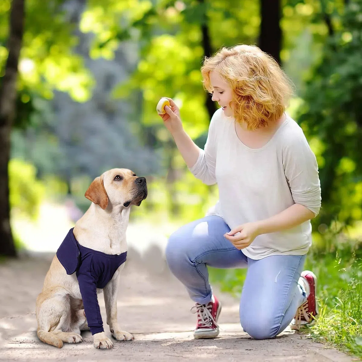 Joyan Tuta Postoperatoria per Cane, Ginocchiera e Fascia Elastica per Gamba e Gomito, Supporto Ferite Addominali, Anti-Leccatura, Recovery Sleeve Cane, Protettore Cutaneo, Blu (L)