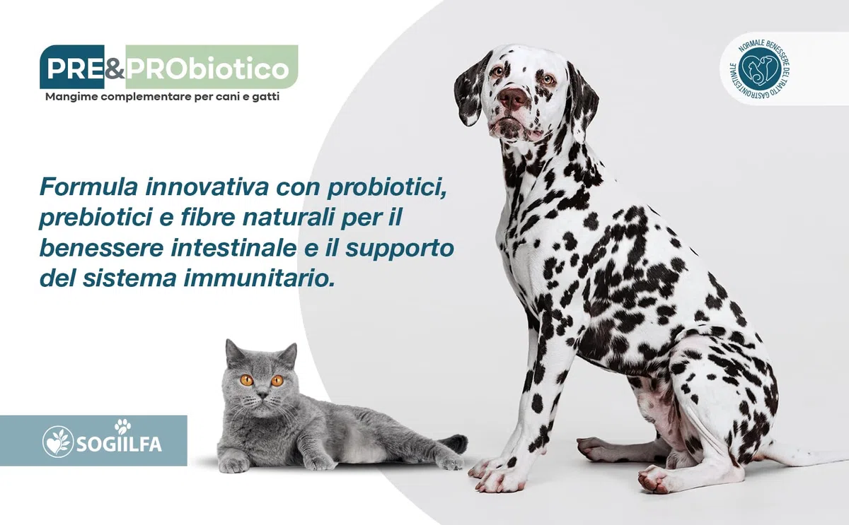 Fermenti lattici cani 120 pz probiotici per cani e gatti, probiotici per intestino con Enzimi digestivi vivi.Probiotico per cani e gatti naturale rilassante. Pastiglie cane per prurito e dermatite
