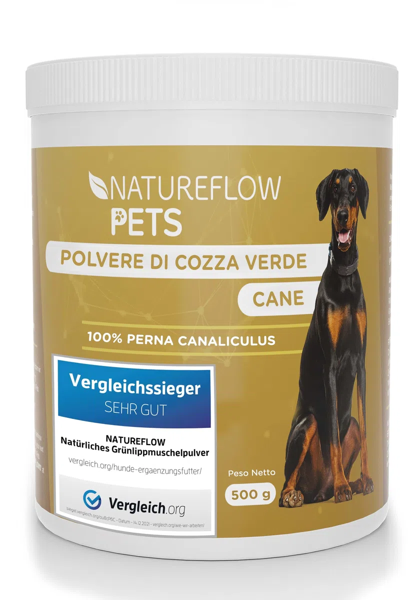 Polvere di cozza verde per cani – Integratore naturale con glucosamina, green lipped mussel 500g, supporto articolare, cozza verde cani, benessere e mobilità