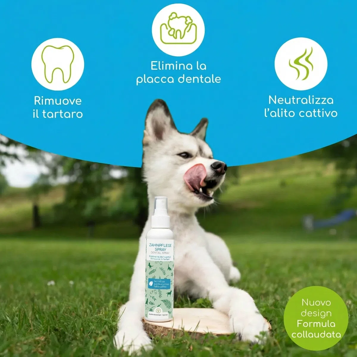 Rimuovi Tartaro per Cani e Gatti – Spray Dentale Naturale per la Pulizia dei Denti senza Spazzolino – Rimuove il Tartaro e Riduce l'Alito Cattivo – Alito Fresco con Menta 150ml