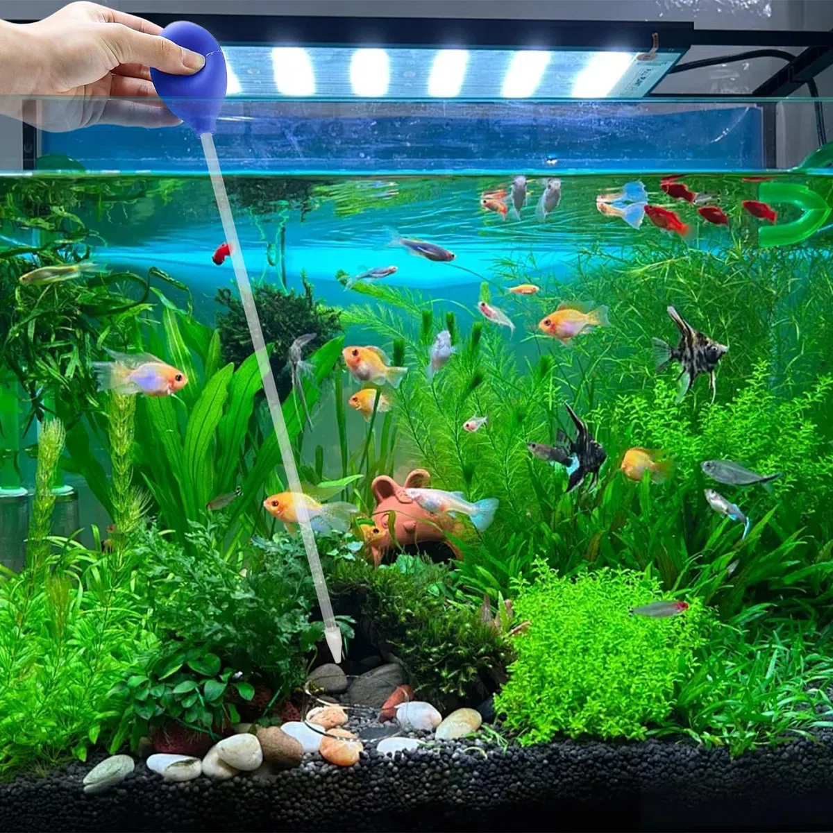 2 Pezzi Sifone Acquario, Pompa Acqua Manuale, Coral Feeder, Riutilizzabile, Cambia Acqua per Acquari, Accessori Acquario per La Pulizia Dell'acquario, L'alimentazione (45 CM)