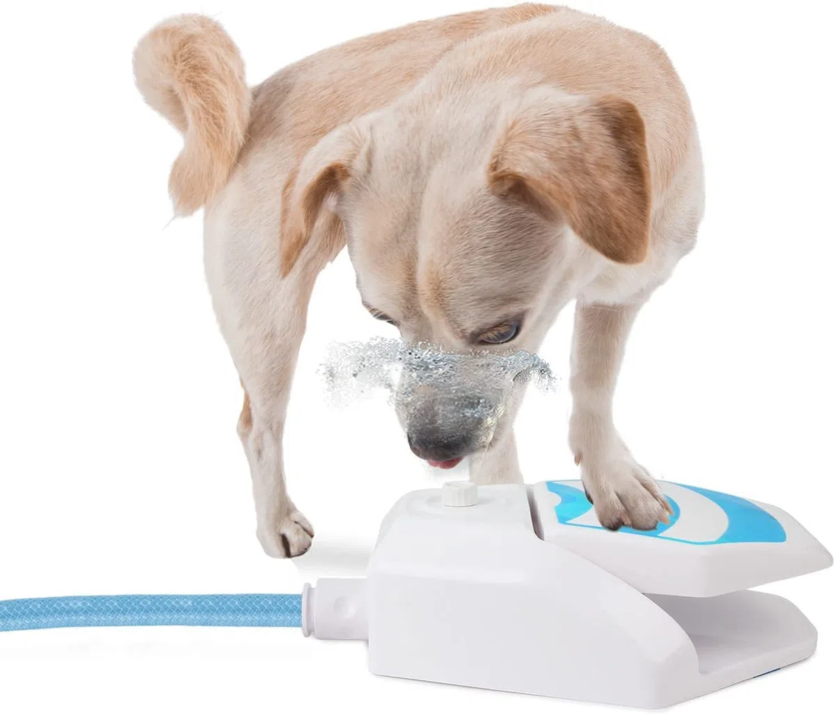 Chill Out – Garden Water Fountain by All Forno Paws