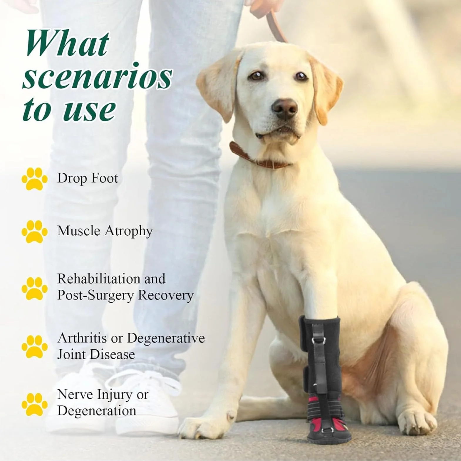 Tutore per Piede Cadente per Cani, Tutore per Gamba per Stivale per Cane per Supporto Gamba, Scarpe Correttive per Cani per Sollevare in Sicurezza le Dita dei Piedi per Problemi (L)