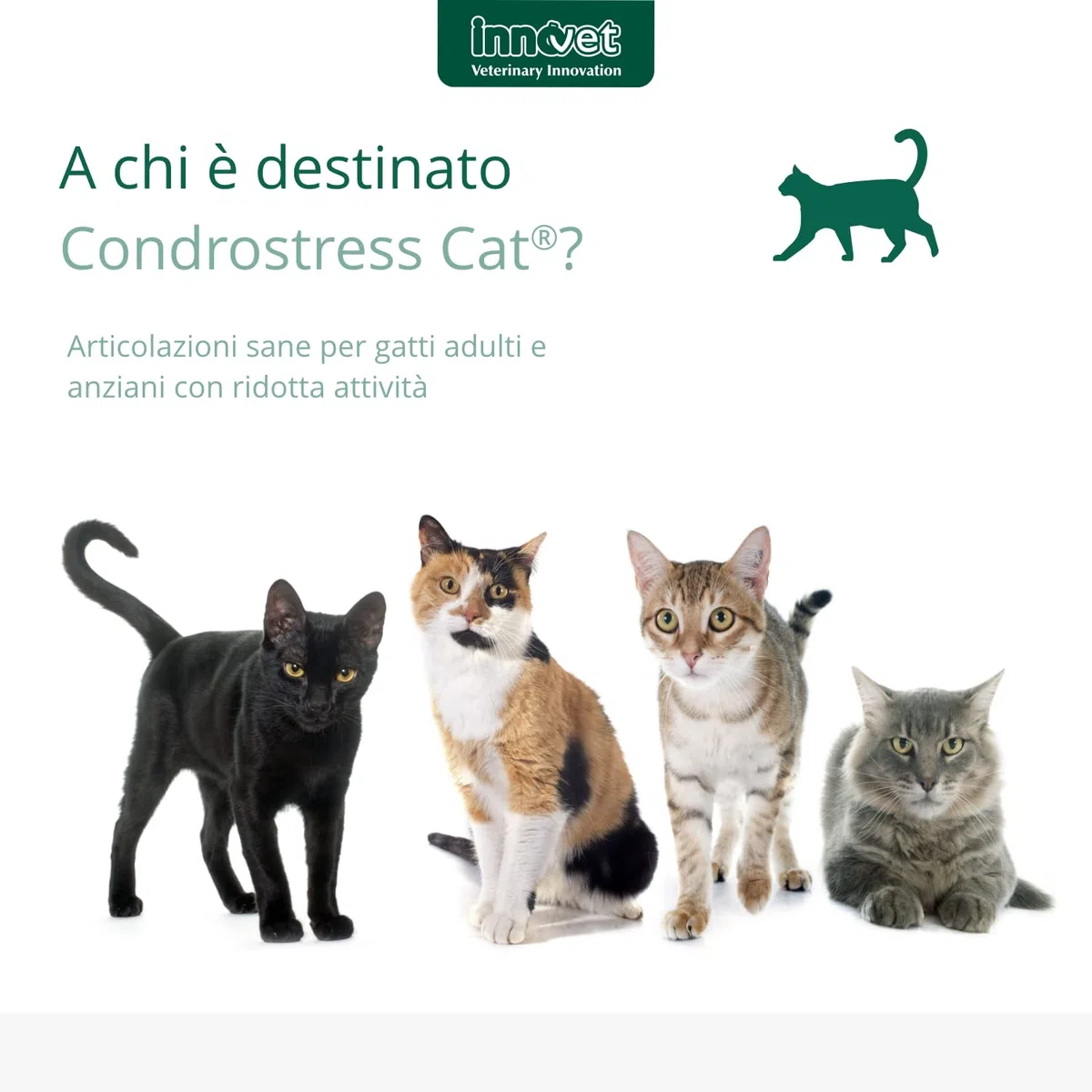 Condostress Condrostress + Cat 30 Capsule Monodose