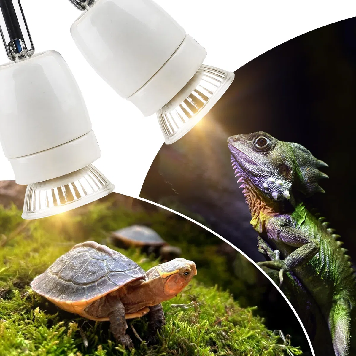 CPROSP Portalampada E27 Rettile Doppia Testa, con 2 * 25W Lampada, Lampada Riscaldante Presa con Doppio Interruttore, 1,8M Cavo e Spina, Lucertola Tartaruga UV, Presa in Porcellana Ruotabile a 360°