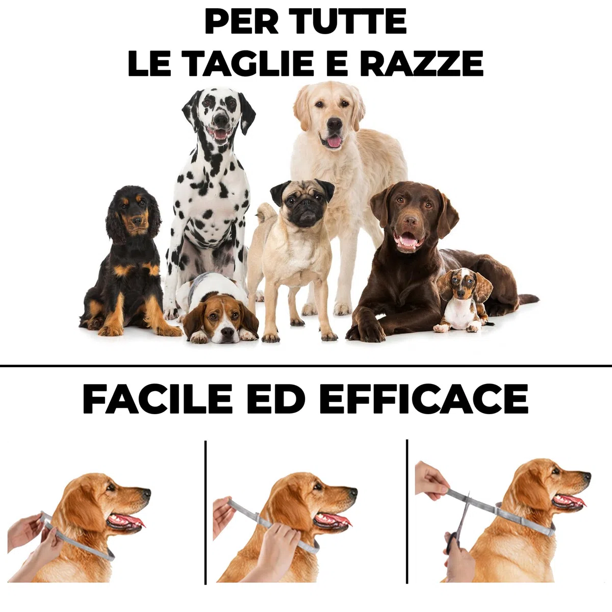 Monked | Collare Naturale Antipulci e Zecche per Cani | Regolabile 64 cm | Protezione fino a 8 mesi | Impermeabile | Adatto a Cani Piccoli e Grandi (Rosa)
