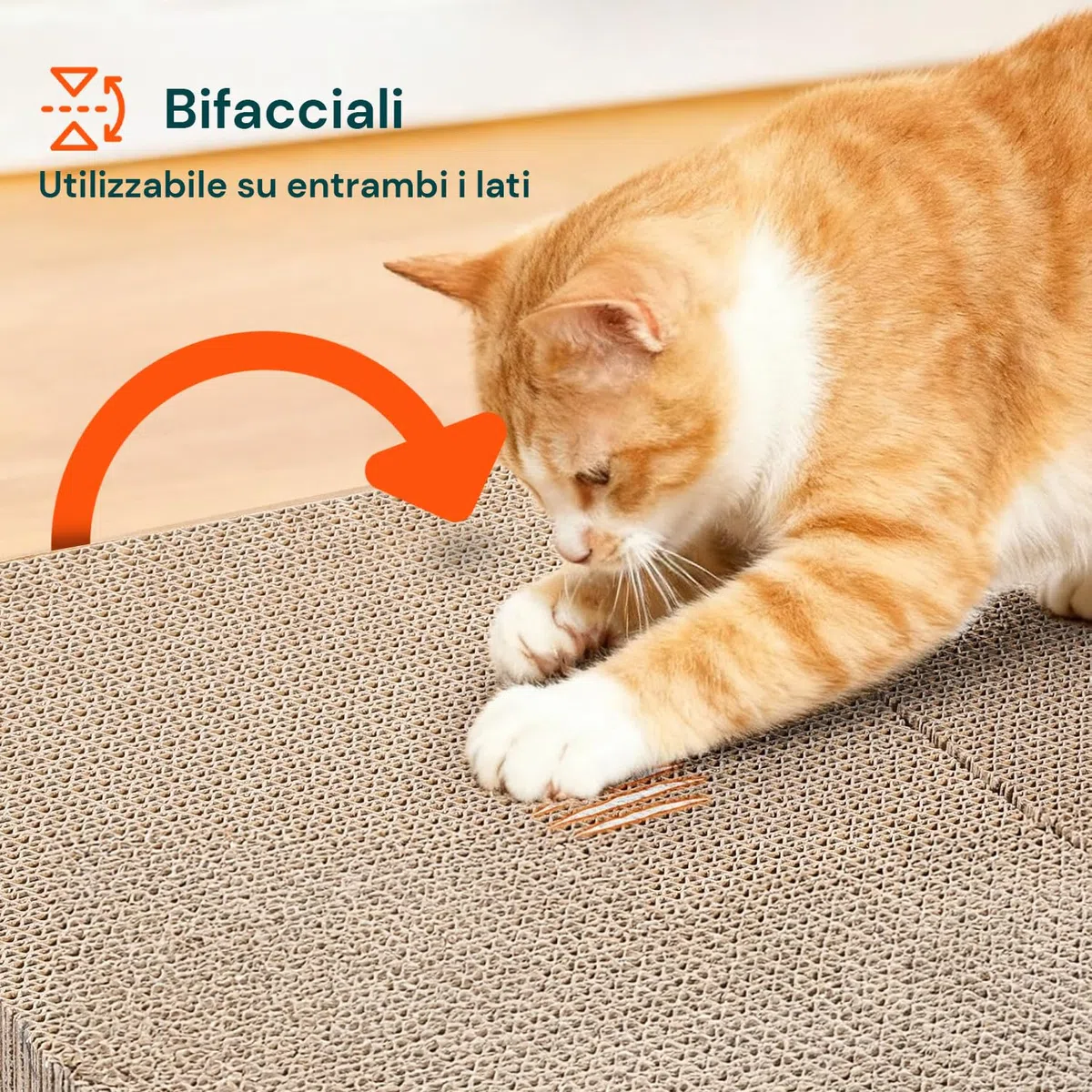 Avilia - Tiragraffi per Gatti Set 5 Pz – Tiragraffi Cartone Ondulato Bifacciale Ultra-Compresso, Graffiatoio per Gatti Protezione Divano, Tiragraffi Cartone per Gatti 3 in 1 Atossico Riciclato
