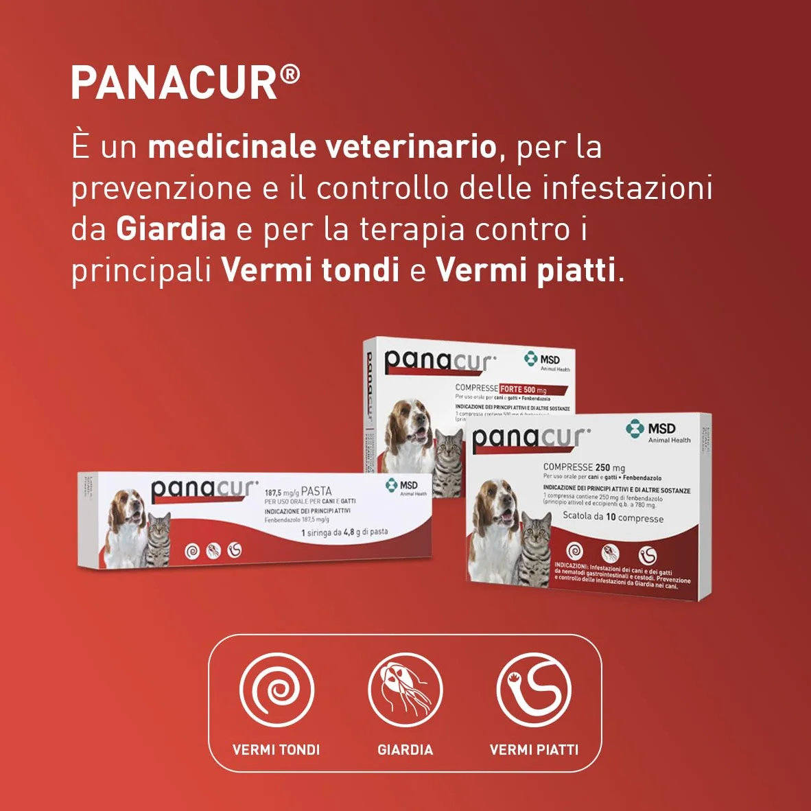 Panacur Pasta - Vermifugo Per Cani E Gatti, Libera da Giardia, Vermi Tondi e Vermi Piatti. Per Cani E Gatti Dai Gusti Difficile