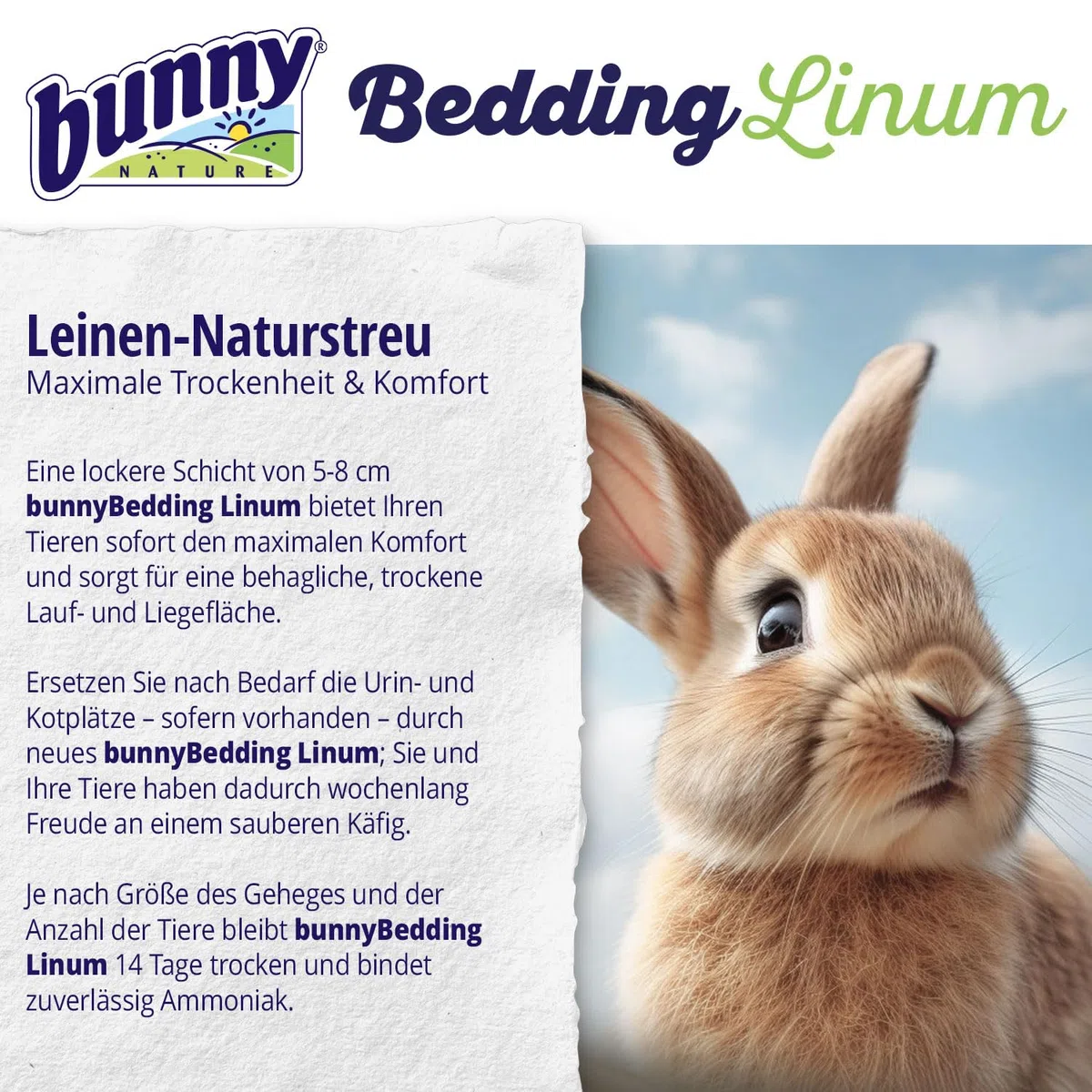 Bunny Bedding Lettiera Linum