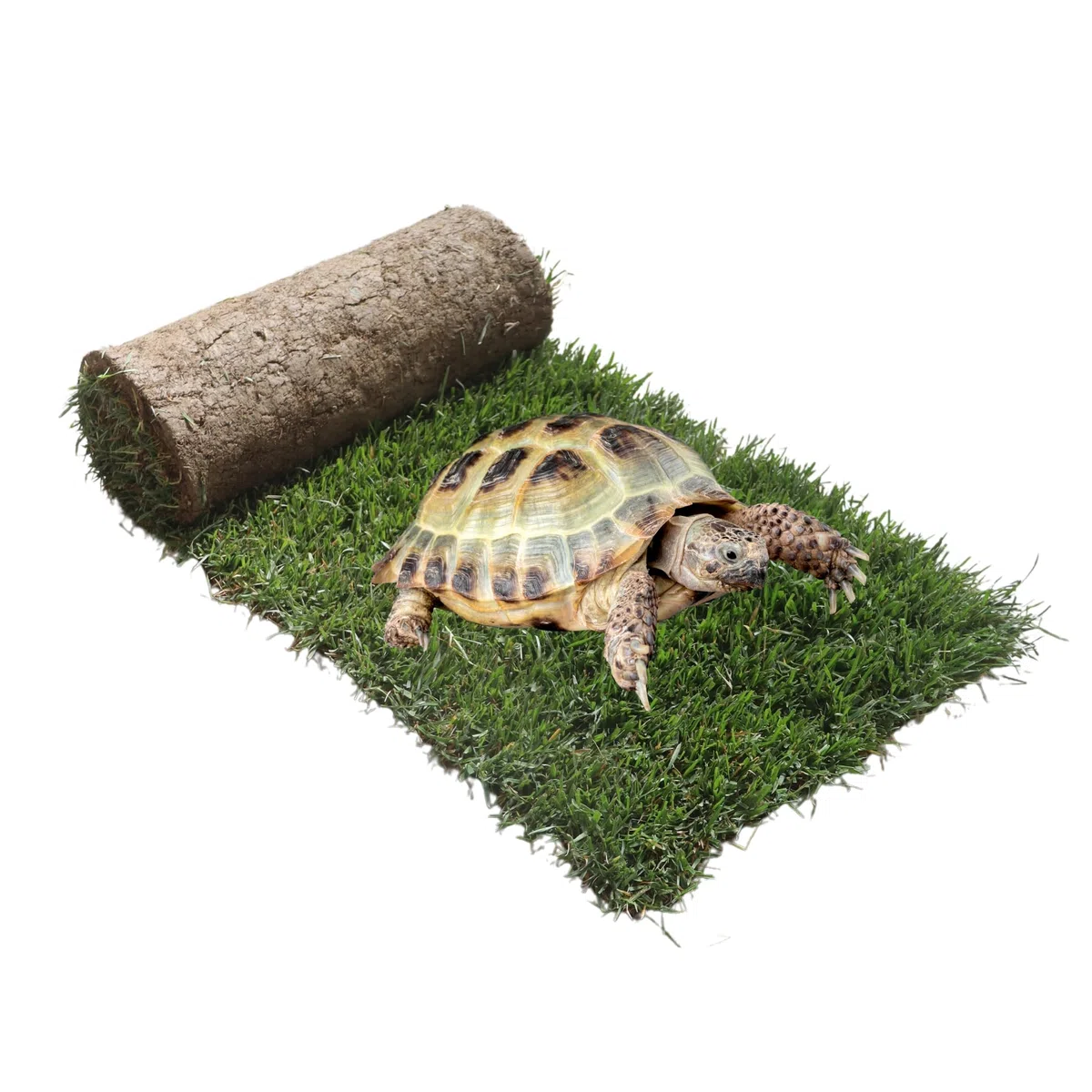 Ricarica S Tartarughe 60x40cm - Terrario tartarughe di terra in vero prato naturale, Ricambio facile da sostituire per il Kit S, casetta per tartarughe da interno dura fino a 5 mesi
