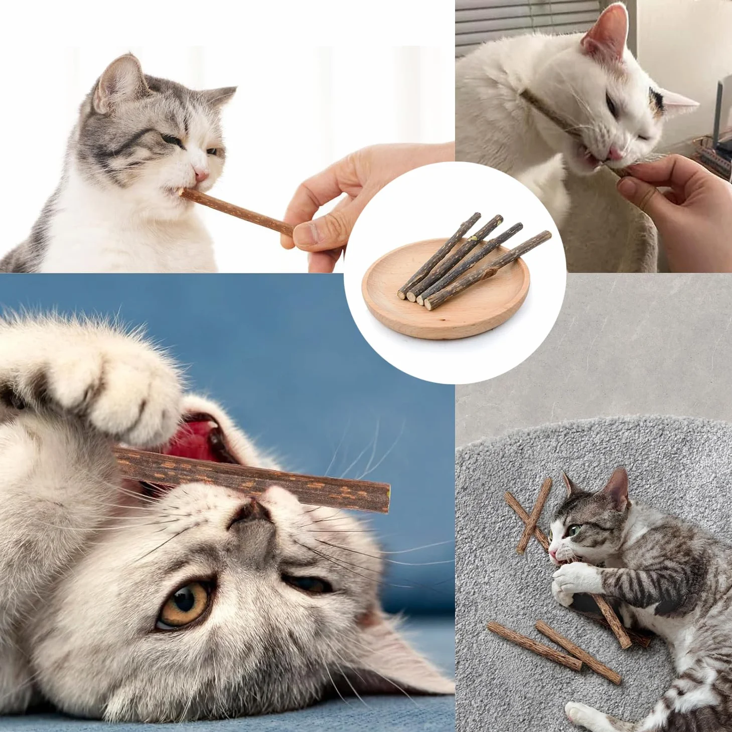 Set di 32 bastoncini per legno da masticare, per gatti, per la cura dei denti e contro l'alito cattivo, naturali e sicuri, bastoncini da masticare