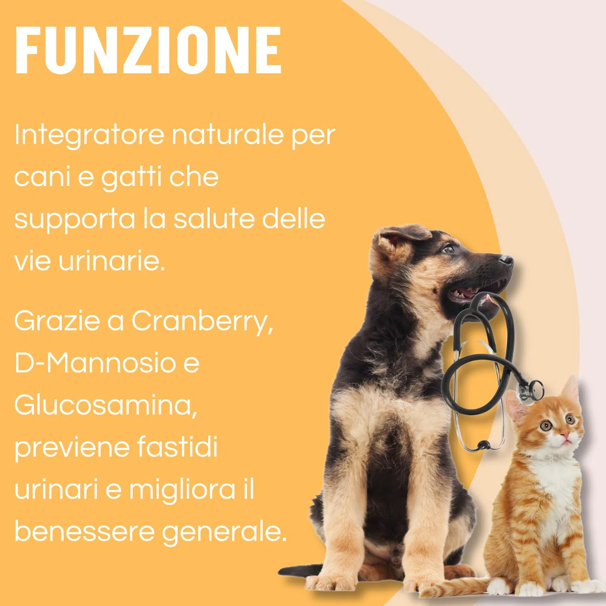 Surio Integratore Cani e Gatti 100ml - Supporto Benessere Urinario - Con Cranberry, Glucosamina, D-Mannosio - Vitamina C, Selenio - Estratti Vegetali, Urtica, Orthosiphon