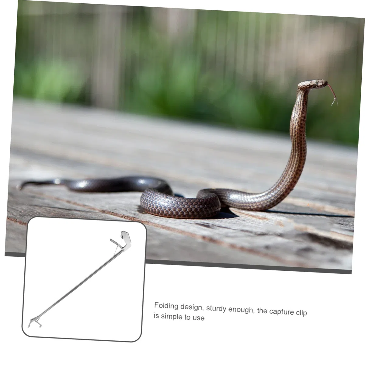 ABOOFAN Pinza Pieghevole Acciaio Inossidabile Resistente per Serpenti in Funzione Compatta Giardino e Lavoro in Montagna
