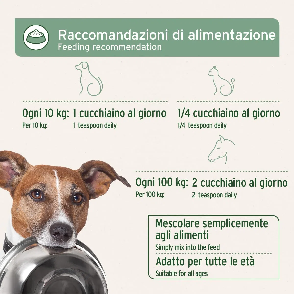 AniForte Omega 3 & 6 Olio di Salmone per Cani 1 l - Acidi grassi Omega-3, olio di pesce puro di alta qualità, integratore alimentare per cani