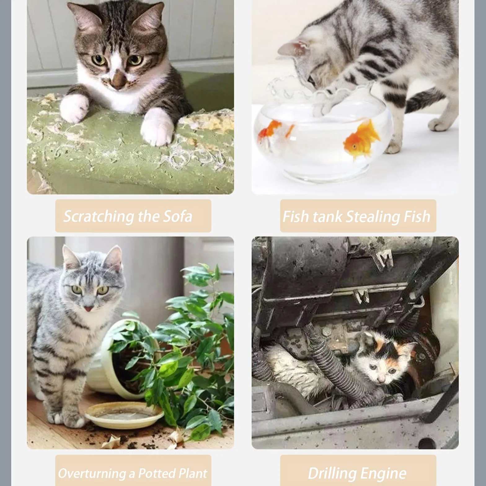 Tappetino Repellente per Gatti, Tappetino Anti Gatto 10 Pezzi | Repellente Naturale per Interni/Esterni | Protezione Giardino, Balconi e Aiuole | Eco-Sicuro, Resistente All'Acqua (10, Trasparente)