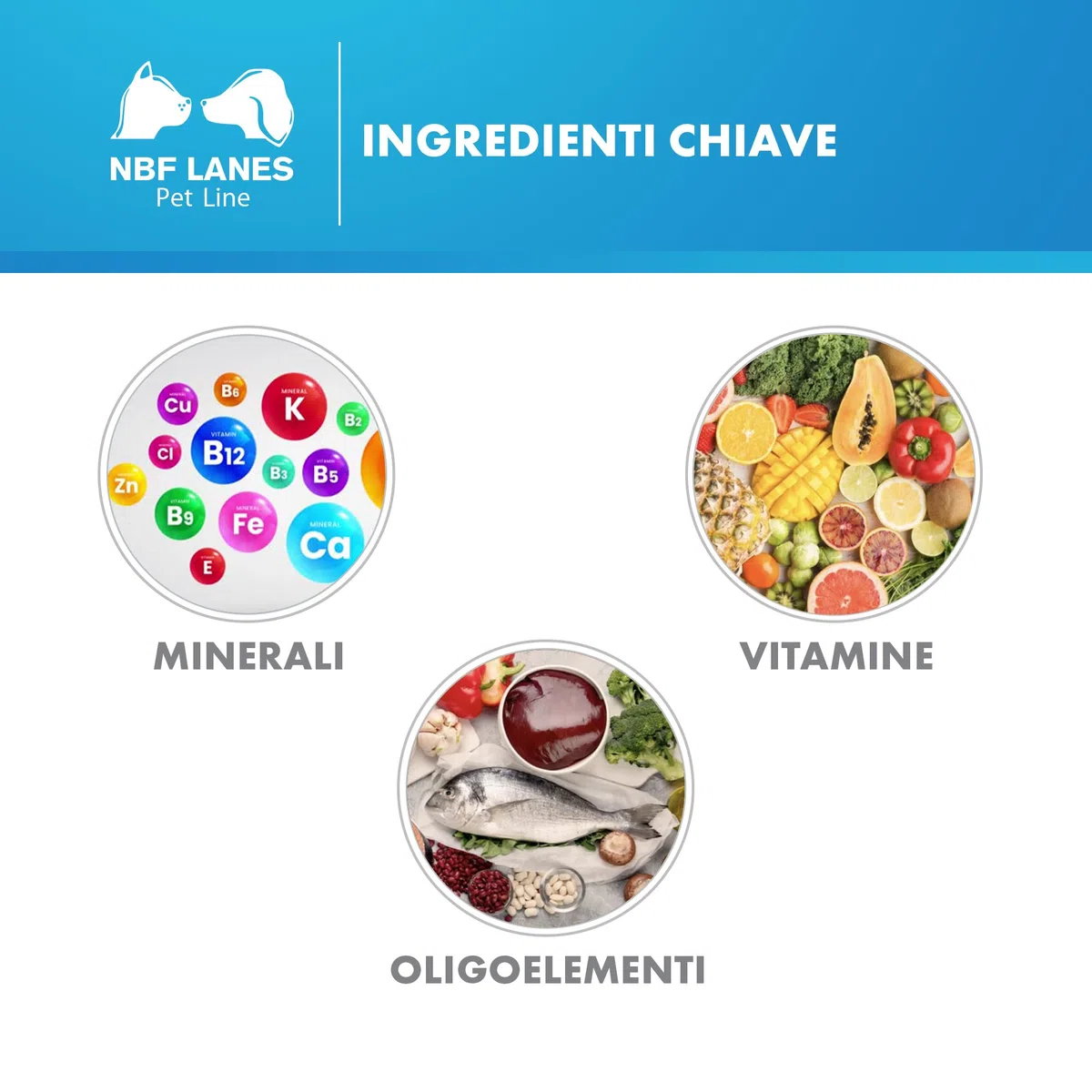 NBF Lanes | Carevit Ultra Cane, 30 Buste da 4 g, Granulare Appetibile, per Bilanciare le Diete Casalinghe, Diete a Eliminazione, Simil B.A.R.F., Diete Miste