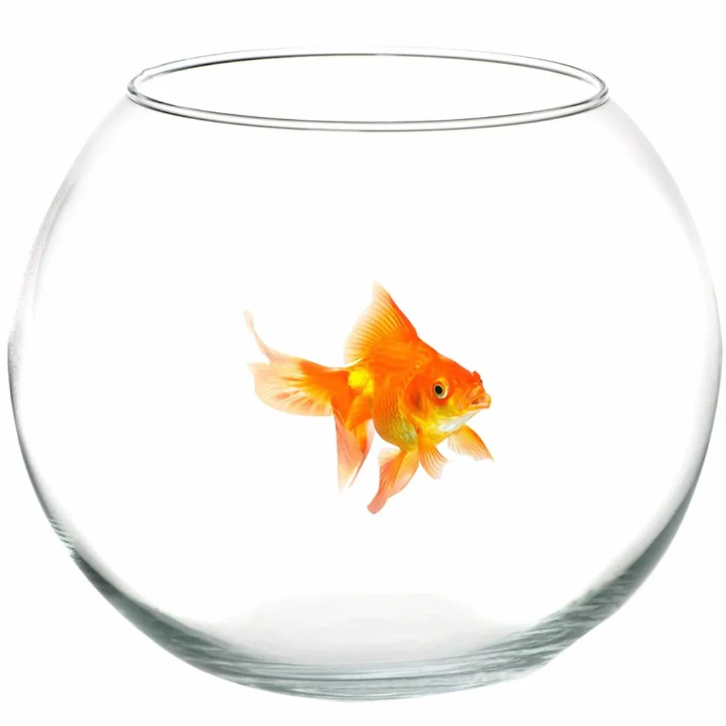 Trade Shop - Ampolla Boccia per Pesci in Vetro 25 Cm Acquario Pesce Rosso Centro Tavola Casa