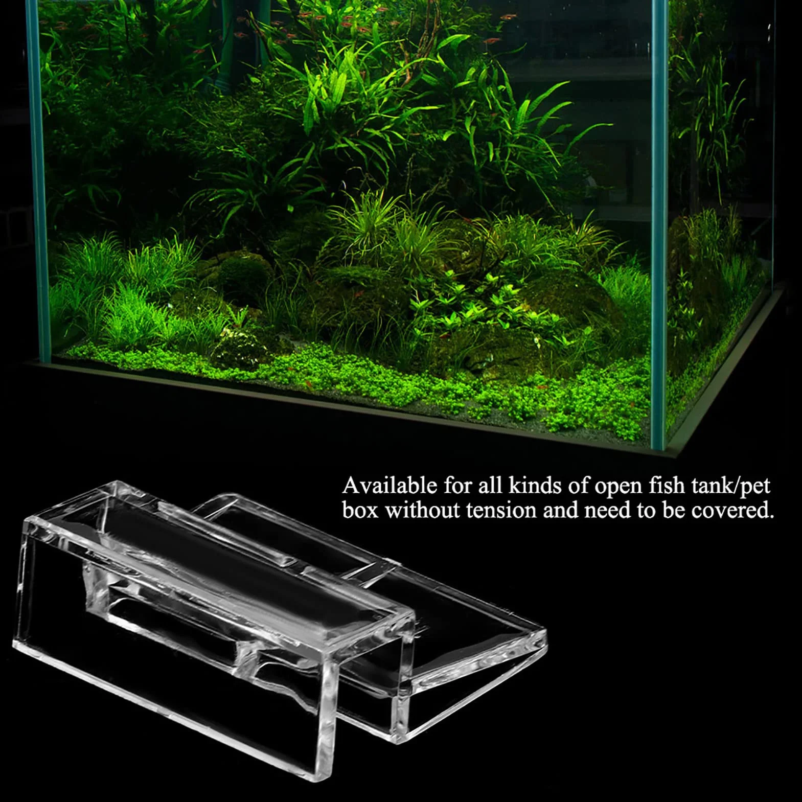 Akozon Accessorio per Morsetto di Supporto per Supporto per Clip in Acrilico con Copertura in Vetro da 20 Pezzi per Acquario (8mm)