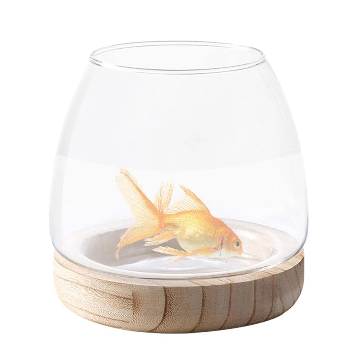 Ciotola per pesci in vetro con base in legno, piccola per pesci rossi da combattimento, acquario per scrivania, piante idroponiche, vaso per piante, terrario in vetro, decorazione per la casa