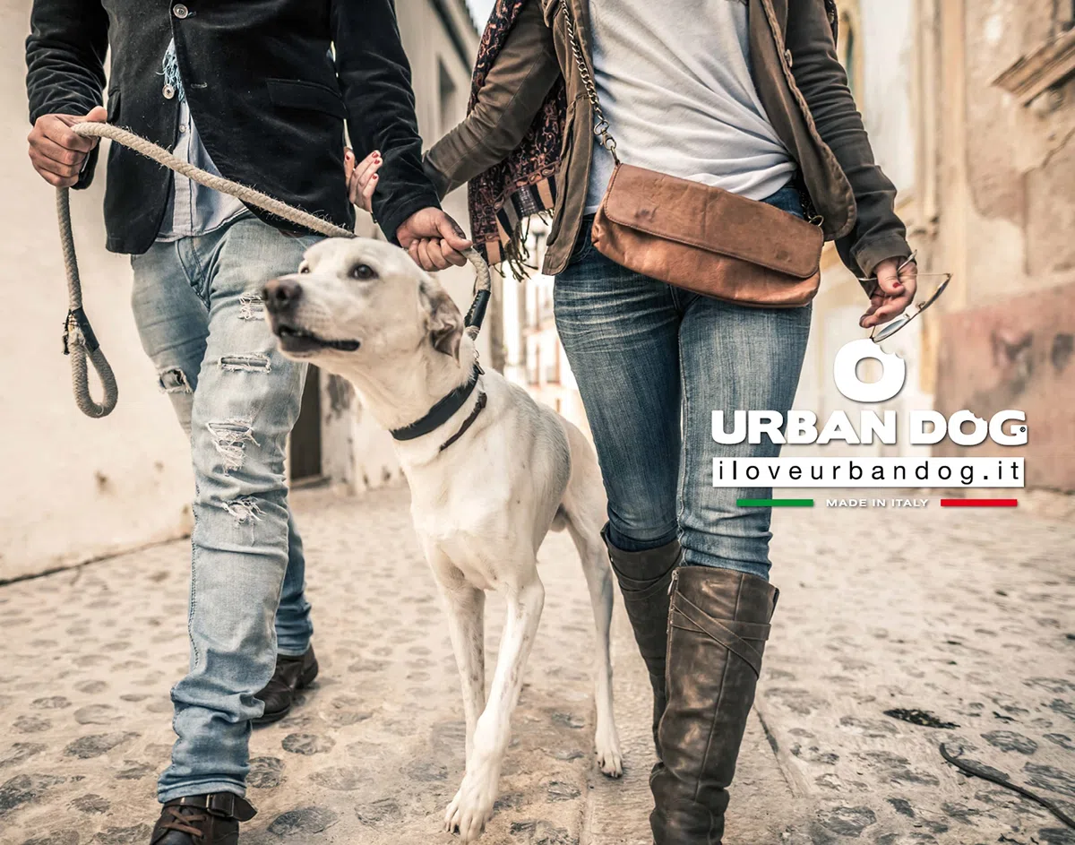URBAN DOG Silky Brush Spray Districante Cani 200 ml – Alto Potere Snodante per Pelo Annodato e Infeltrito, Condizionante per Spazzolatura Facile