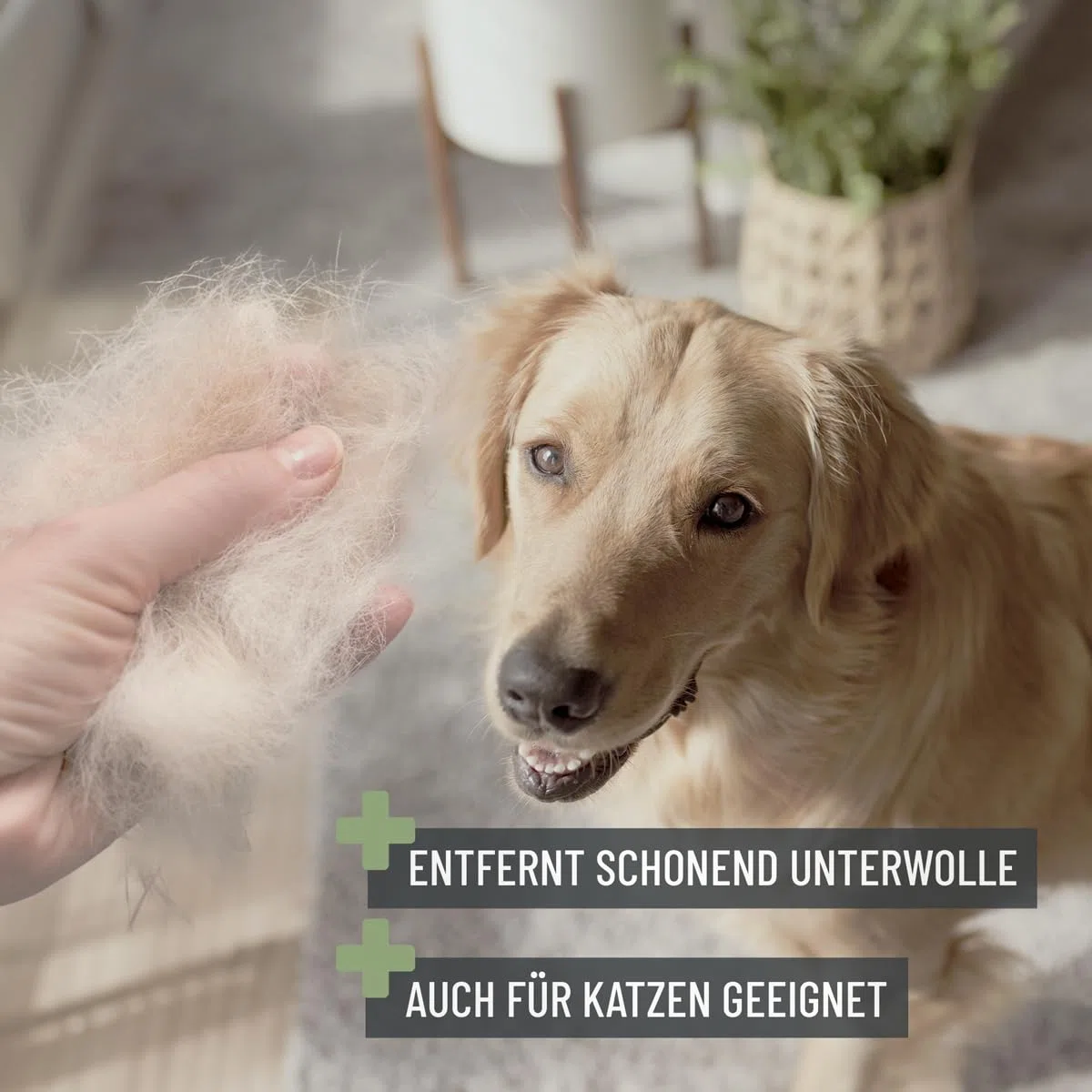 ReaVET Spazzola per cani e gatti, per capelli lunghi, taglia M-L, rimuove sottopelo e infeltrimenti, con effetto massaggio e protezione dei peli di copertura, spazzola per cani, gatti