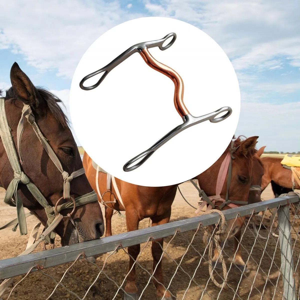 Filetto per Cavalli Western, Forniture Equestri, Morso a Bocca per Equitazione