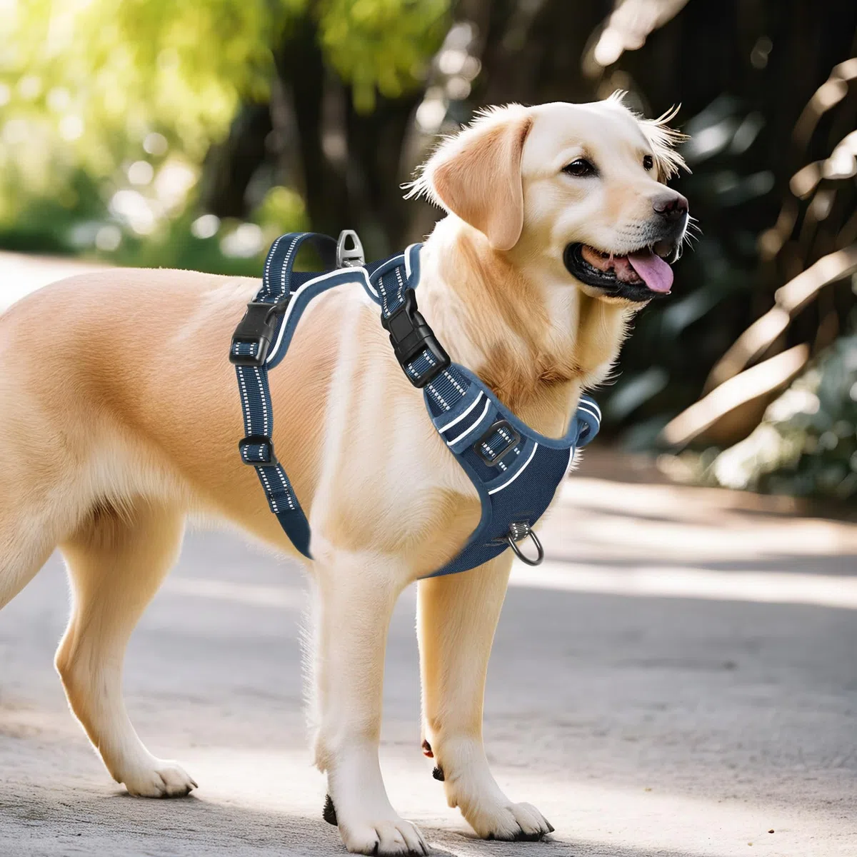 HEELE Pettorina Cane, Imbracatura Sganciata Rapido dal Collo, Pettorina Anti-tiro Riflettente e Regolabile con Maniglia Comoda, Morbida e Imbottita per Cani Piccola Media Grande, Blu Reale L