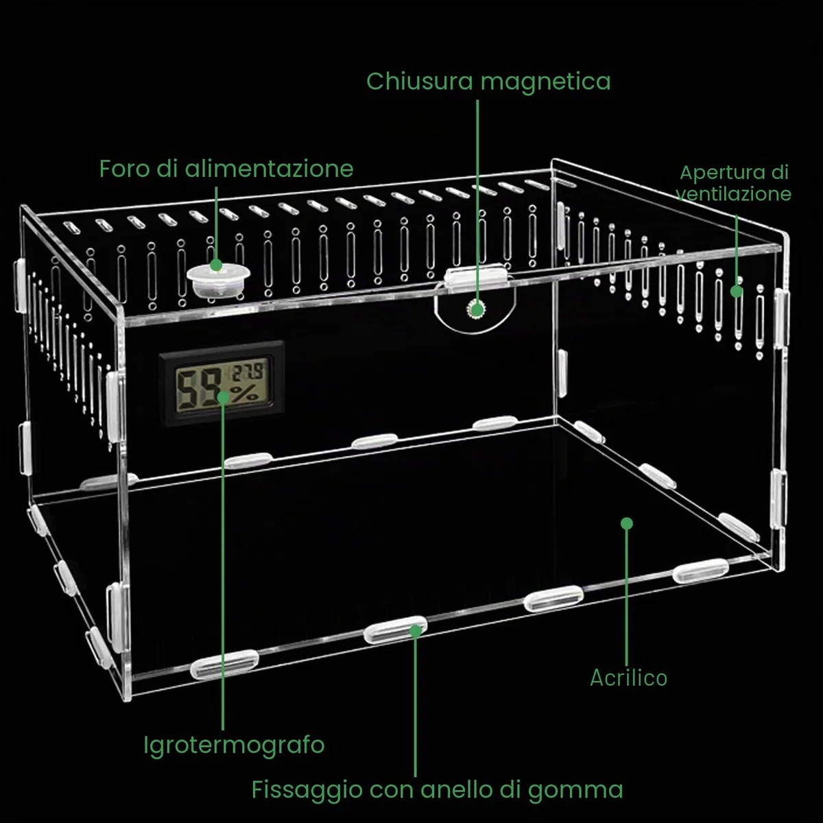 Terrario Acrilico 30 x 20 x 15 cm - Contenitore Portatile per Rettili, Lumache, Ragni - Mini Terrario