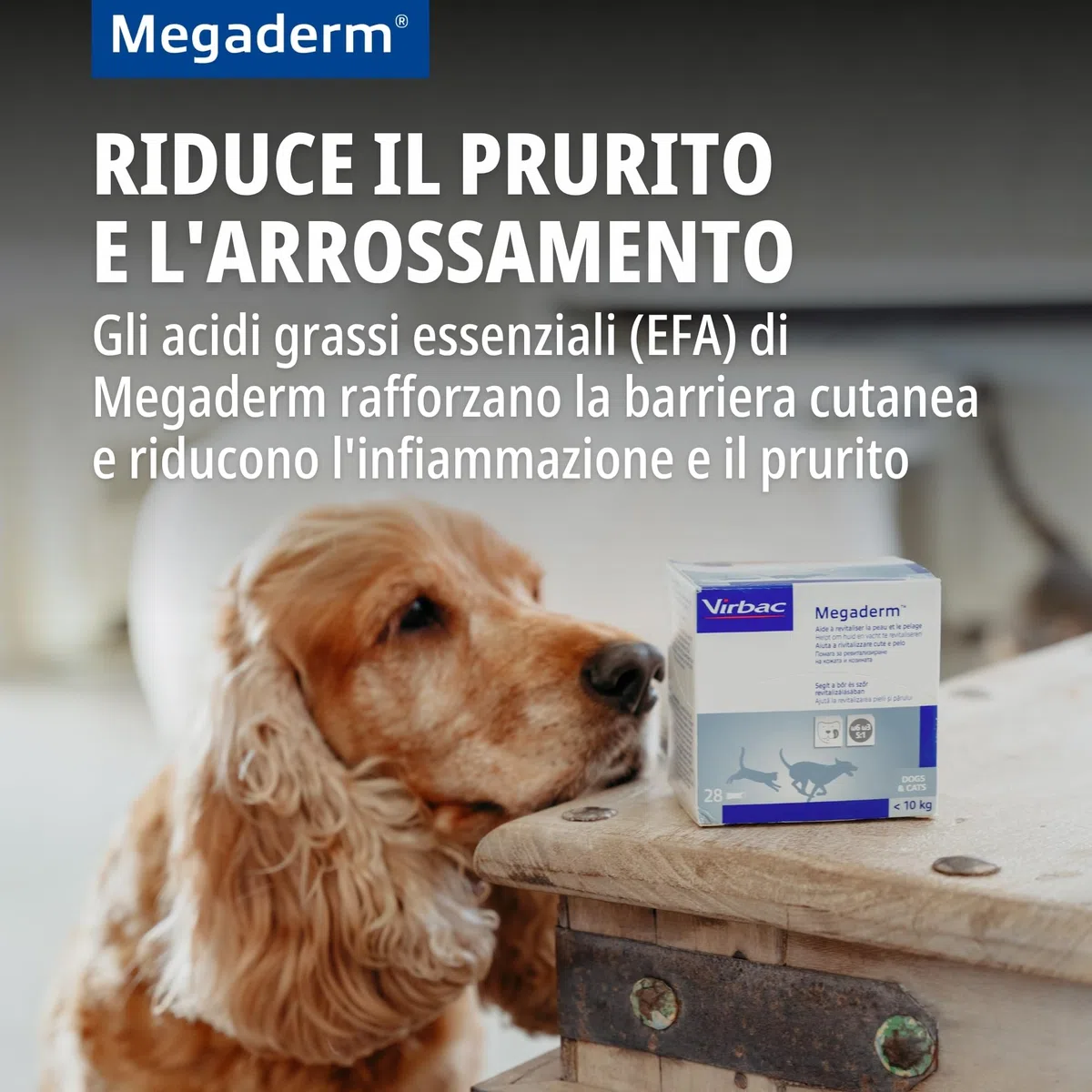 Virbac Megaderm Li Mono X28 8ml - 500 G