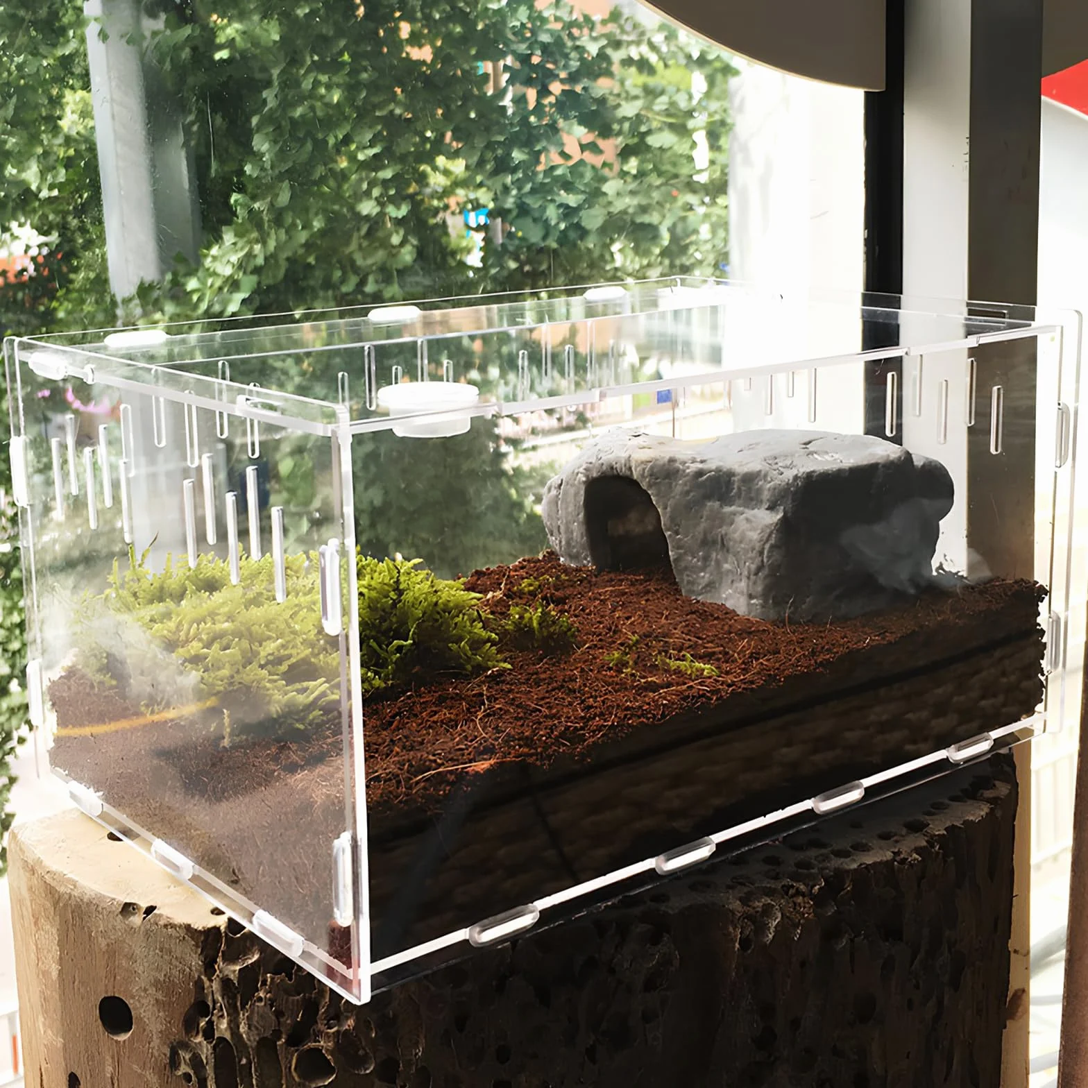 Terrario a Lumache, Contenitore per l'alimentazione Degli Insetti, Trasparente Terrario in Acrilico per Lumache, Tartarughe d'acqua, Ragni, Criceti, Granchi Eremita, Lucertola (20×12×12 cm)