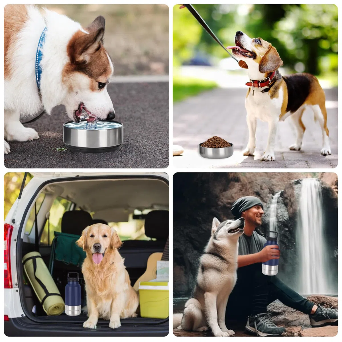 Borraccia per cani da viaggio, 1000 ml, per cani, in viaggio, per cani, in acciaio inox, con ciotola per l'acqua e ciotola, accessorio per cani per passeggiate, senza BPA