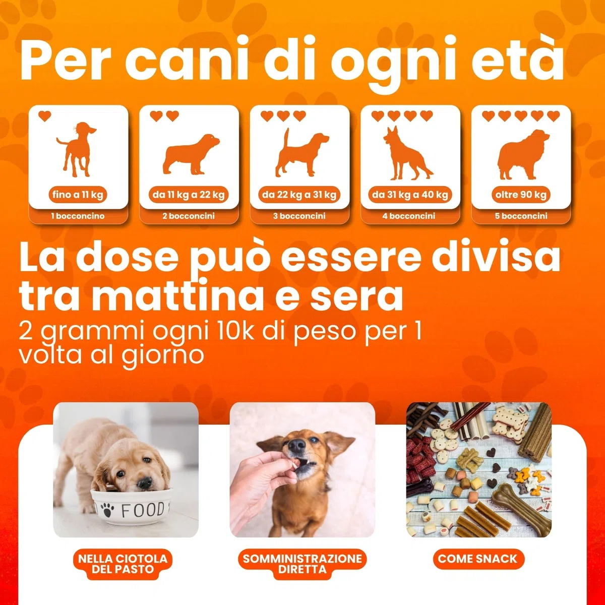 Db Labo Multivitaminico Cane 200 Bocconcini Per Facile Assunzione - Integratori per Cani Completi - 15 Vitamine per Cani e Minerali Essenziali - Integratori per Cane Pelle e Pelo, Sistema Immunitario