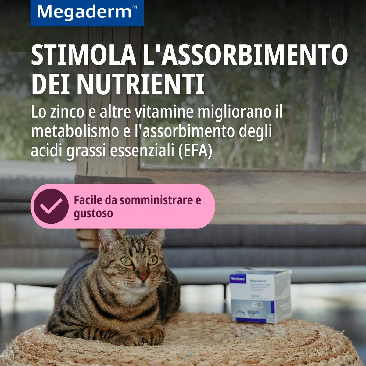 Virbac Megaderm Li Mono X28 8ml - 500 G