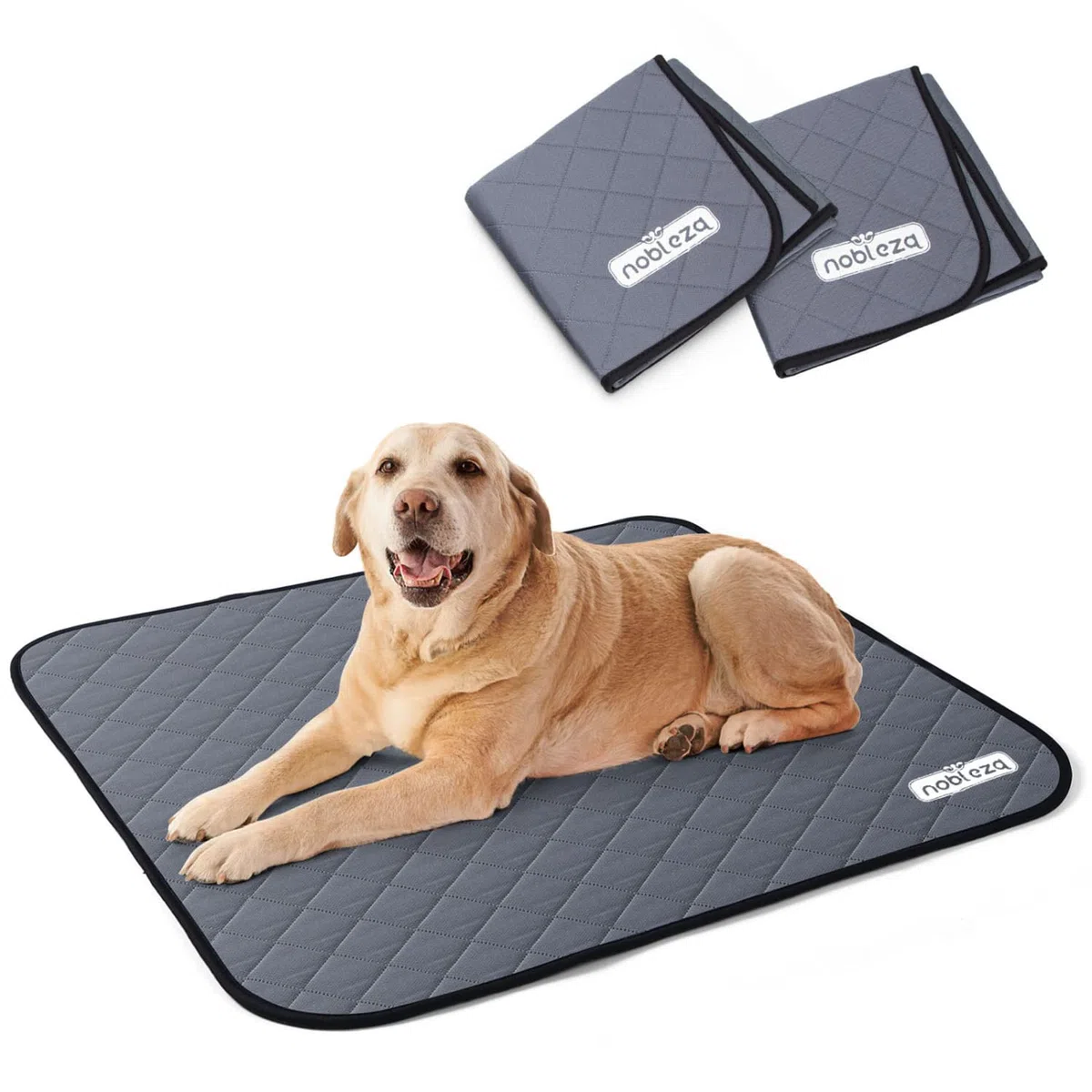 Nobleza Tappetini Lavabili per Cani 71 * 82cm Tappetino Igienici per Cani, 2 Pezzi Riutilizzabile Tappetino da Allenamento per Cuccioli, Tappetini assorbenti Antiscivolo per Cani