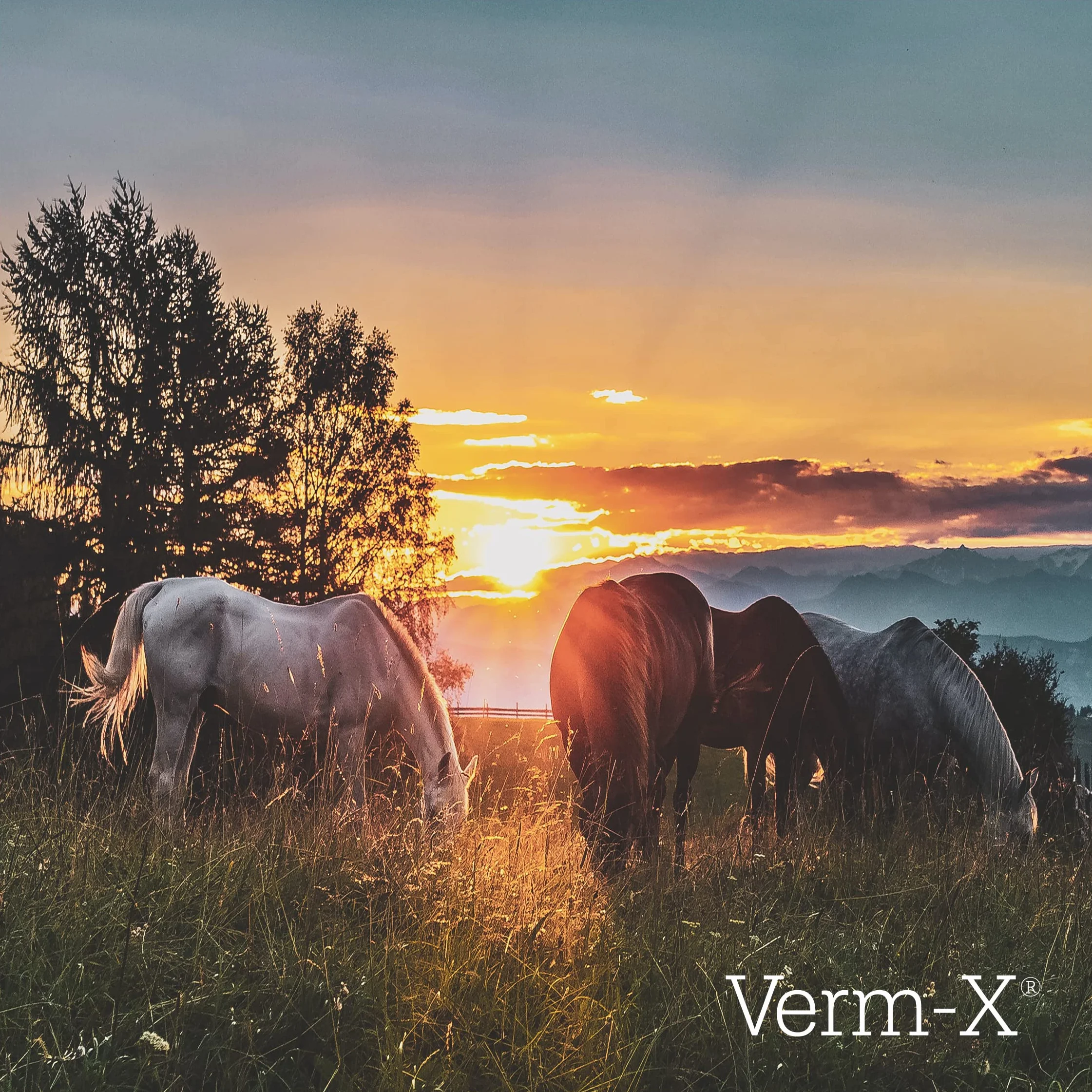 Verm-x Pellet per Cavalli e pony, 250 g