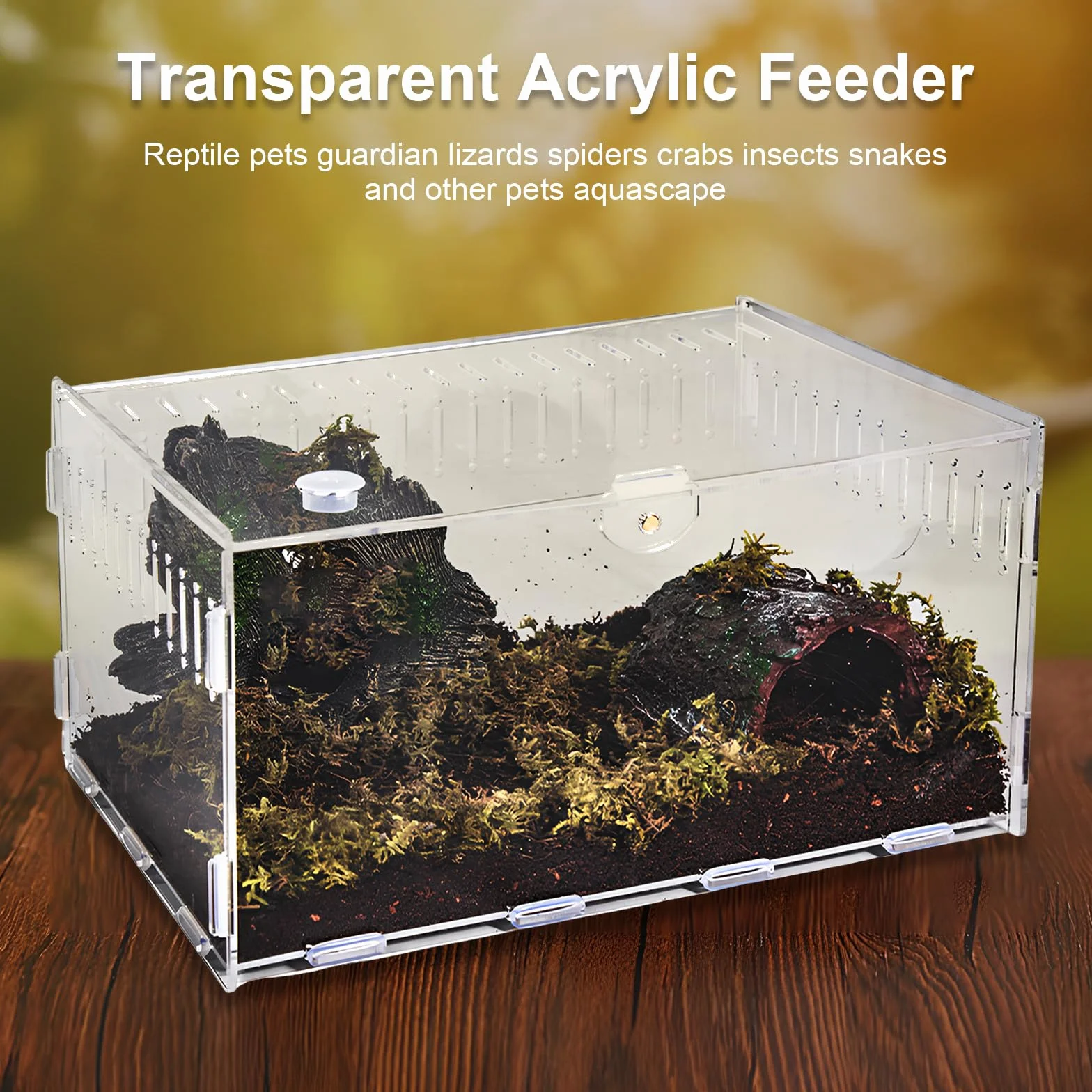 Terrario a Lumache, Contenitore per l'alimentazione Degli Insetti, Trasparente Terrario in Acrilico per Lumache, Tartarughe d'acqua, Ragni, Criceti, Granchi Eremita, Lucertola (20×12×12 cm)