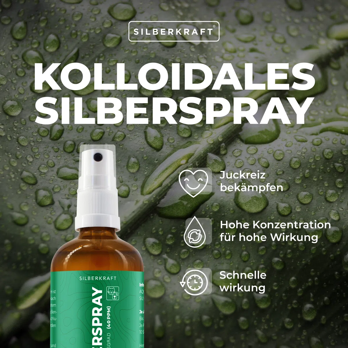 Silberkraft Spray colloidale per Argento, 100 ml, Spray per la guarigione delle ferite, Cura della Pelle in Caso di parassiti, prurito, infezioni, infiammazioni, per Cani, Gatti
