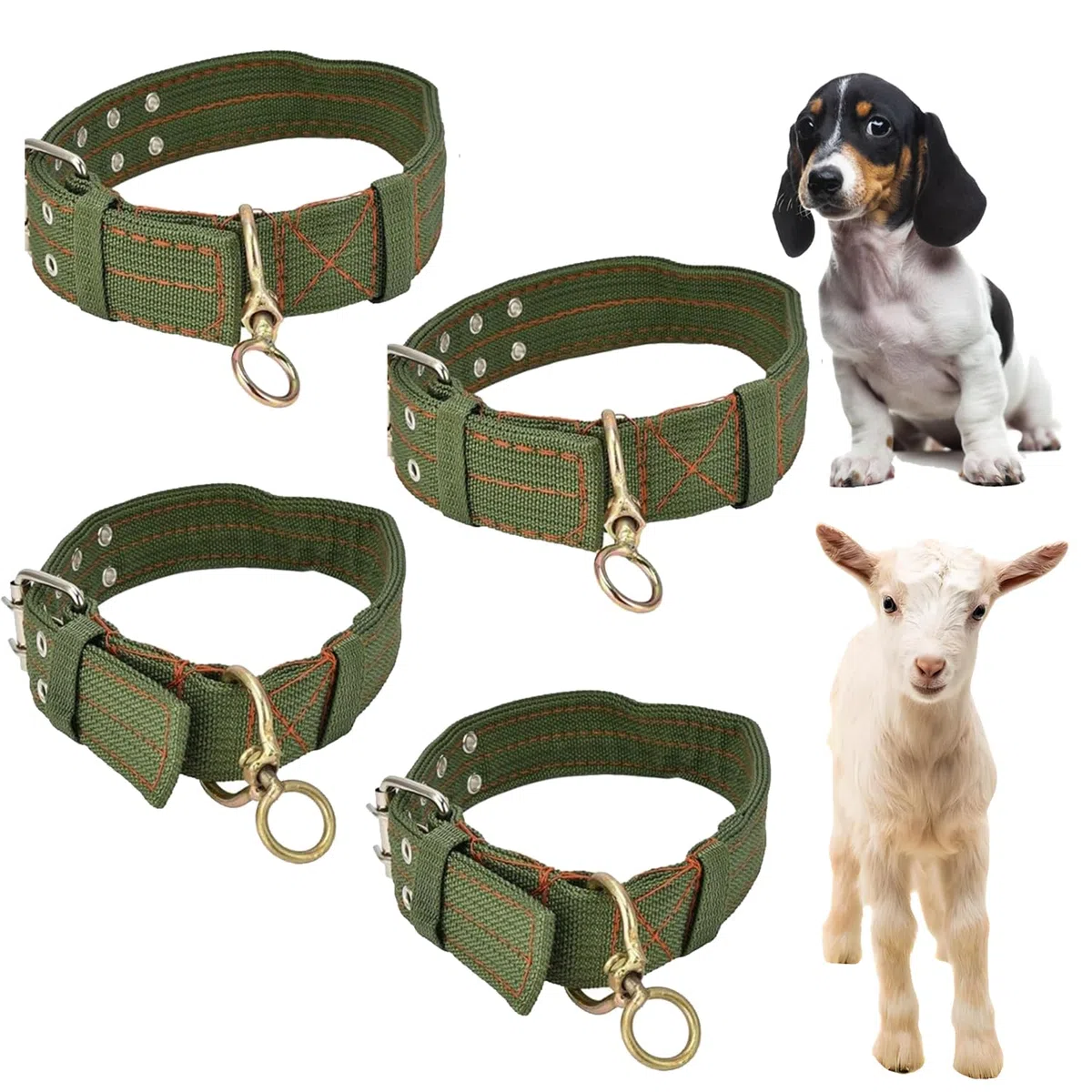 4 Pezzi Collare di Capra, Collari di Pecora Piccoli Regolabili, Collari Regolabili per Cani, Collare per Animali da Fattoria, per Piccoli Animali da Fattoria, Capra e Pecora