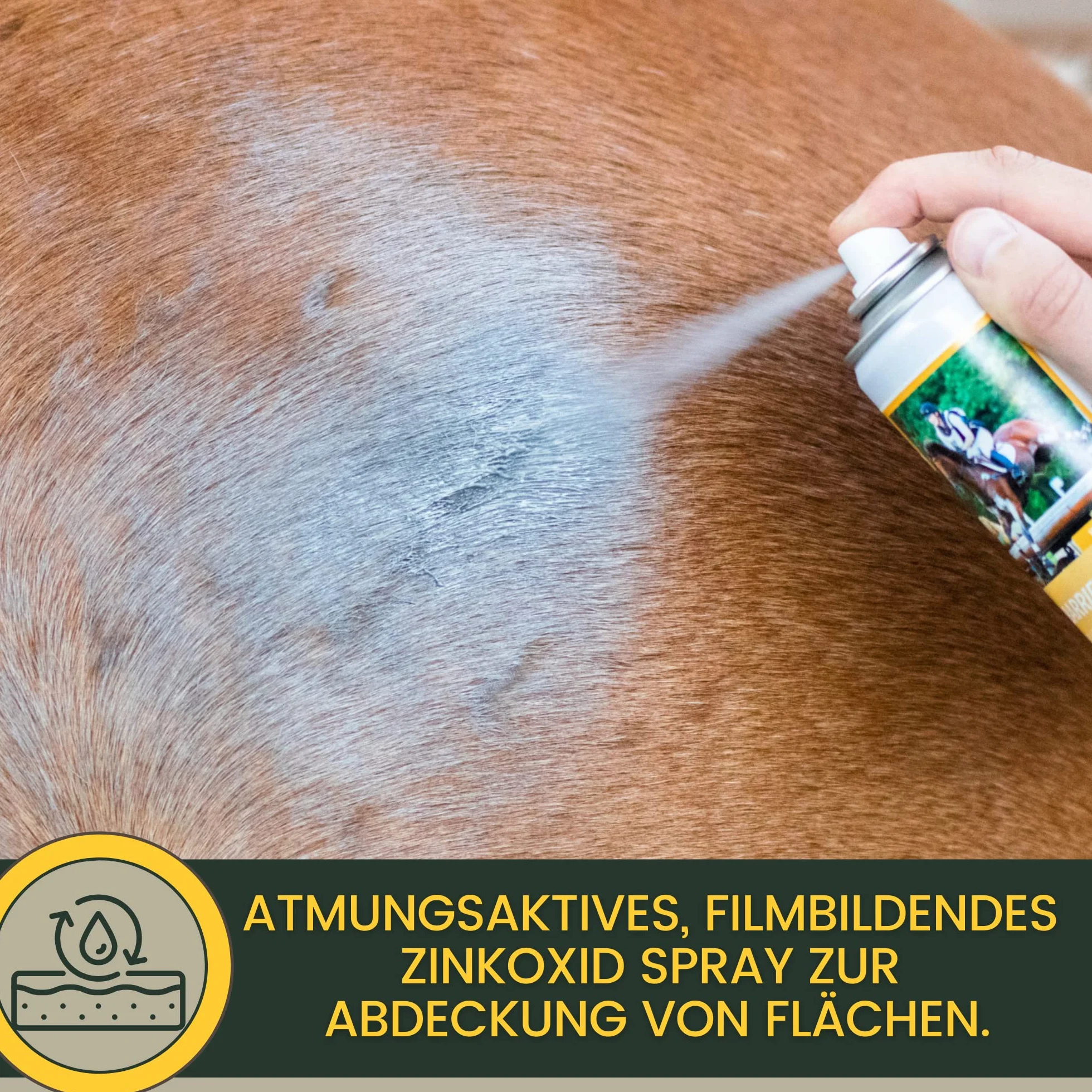 EMMA Zinco Spray Cavallo I Unguento Spray Zinco I Ossido di Zinco Spray per la Protezione delle ferite Cane Gatto I Kit di Pronto Soccorso Cane I Zinco Spray Impermeabile e Traspirante 2 * 200ml