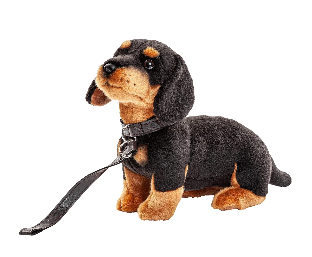 Uni-Toys - Bassotto con guinzaglio - 27 cm (lunghezza) - Cane, animali domestici - peluche
