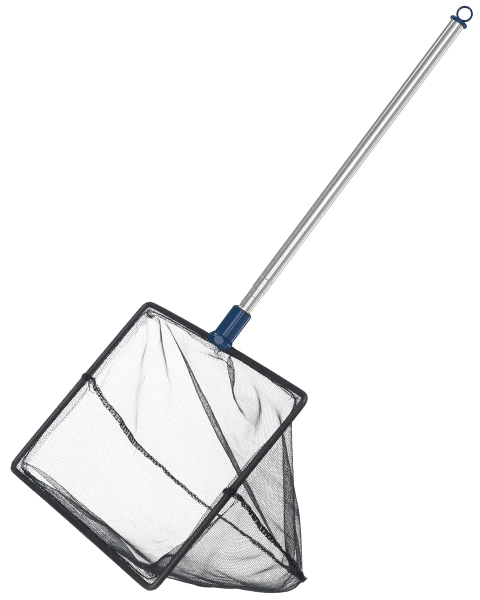Pawfly Rete Per Pesci D'acquario Con Manico Telescopico In Acciaio Inox 20 Cm Grande Rete Quadrata A Maglie Fini Morbide Fanghi Residui Alimentari Rifiuti