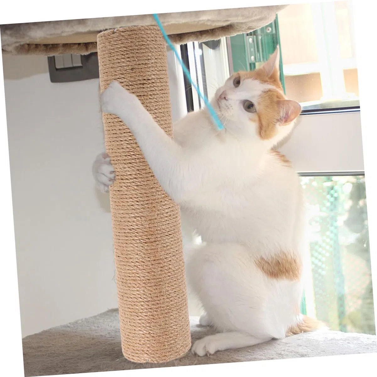 Abaodam Tiragraffi Ricambio Colonne in Sisal e ABS per Gatti 2 Unitá, Resistente e Salvaspazio, Come Sostituzione per Graffi Indoor Proteggendo Mobili