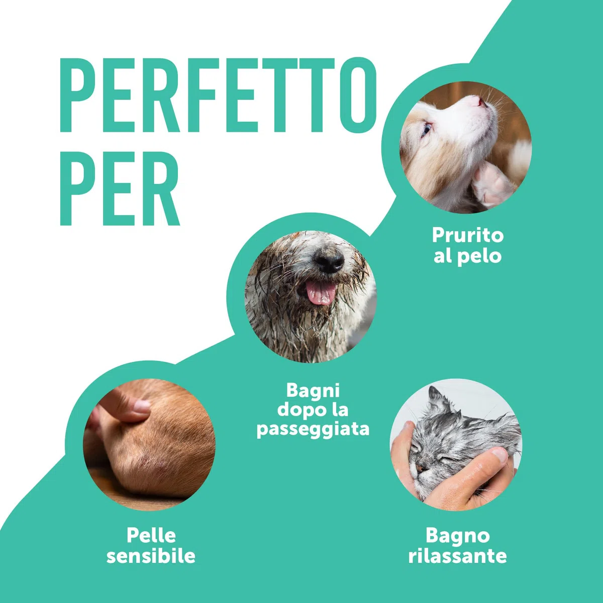 Petsly® Shampoo Antipulci per Cani e Gatti –500 ml– Elimina Pulci e Zecche - pH Bilanciato per Pelli Sensibili, Deterge e Protegge – Formula Delicata con Aloe Vera e Camomilla – Adatto a Cuccioli