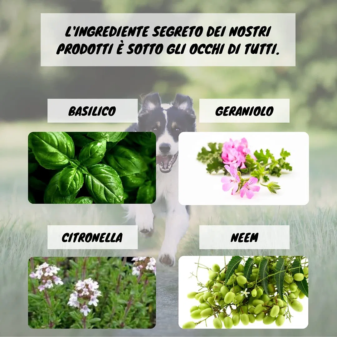 FLY AWAY Eurekavet Spray Antiparassitario 100% Naturale con Olio di Neem - Efficacie Contro: Mosche, Tafani, Flebotomi, Zanzare, Pulci, Zecche, Acari. Antipulci Spray 200ml Cani e Gatti.