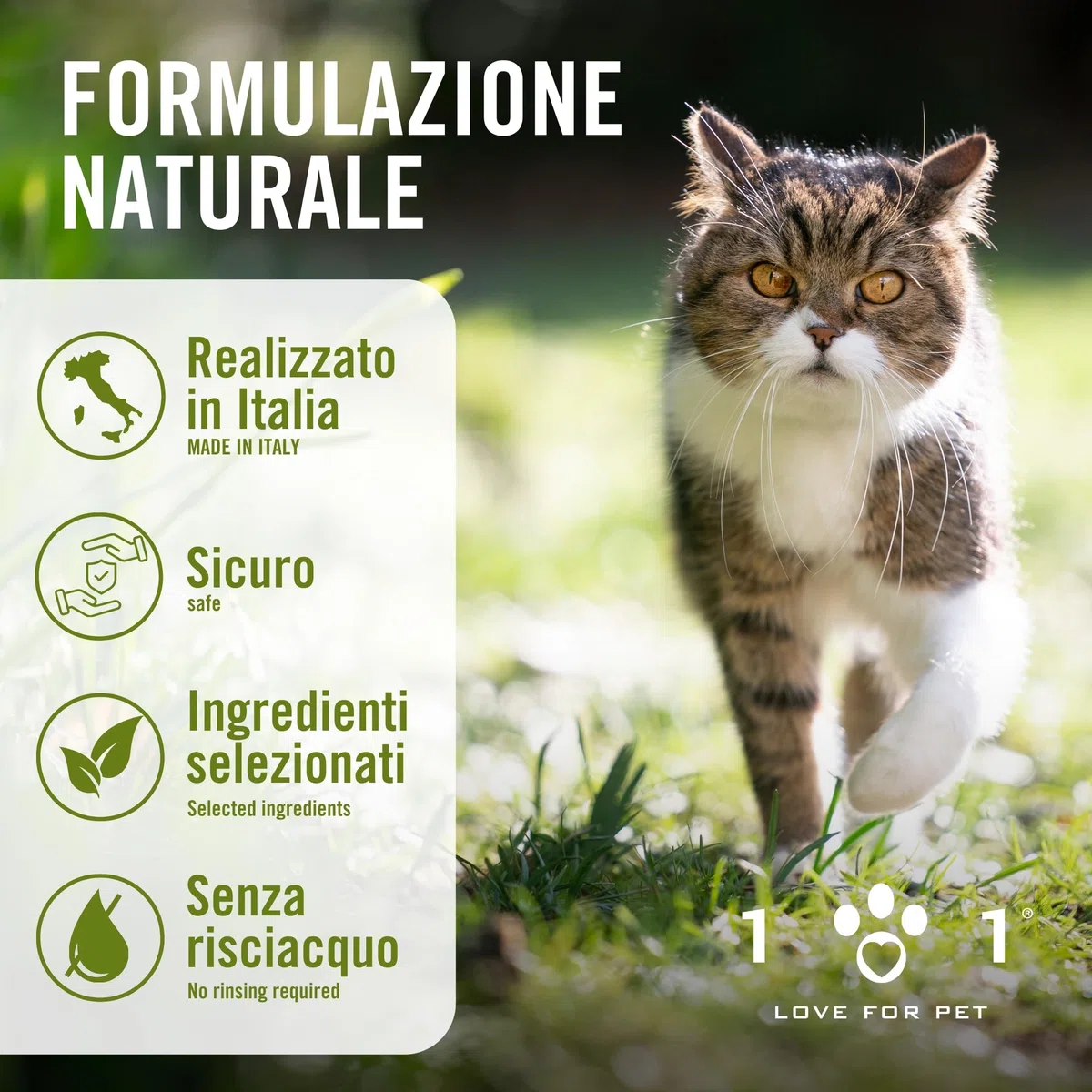 Olio Di Neem Per Cani e Gatti 250ml Protezione Vegetale Spray Antizanzare Cane, Repellente Zecche Cane, Antiparassitario Naturale Per Cani, Antipulci per Gatti, Antiparassitario per Gatti