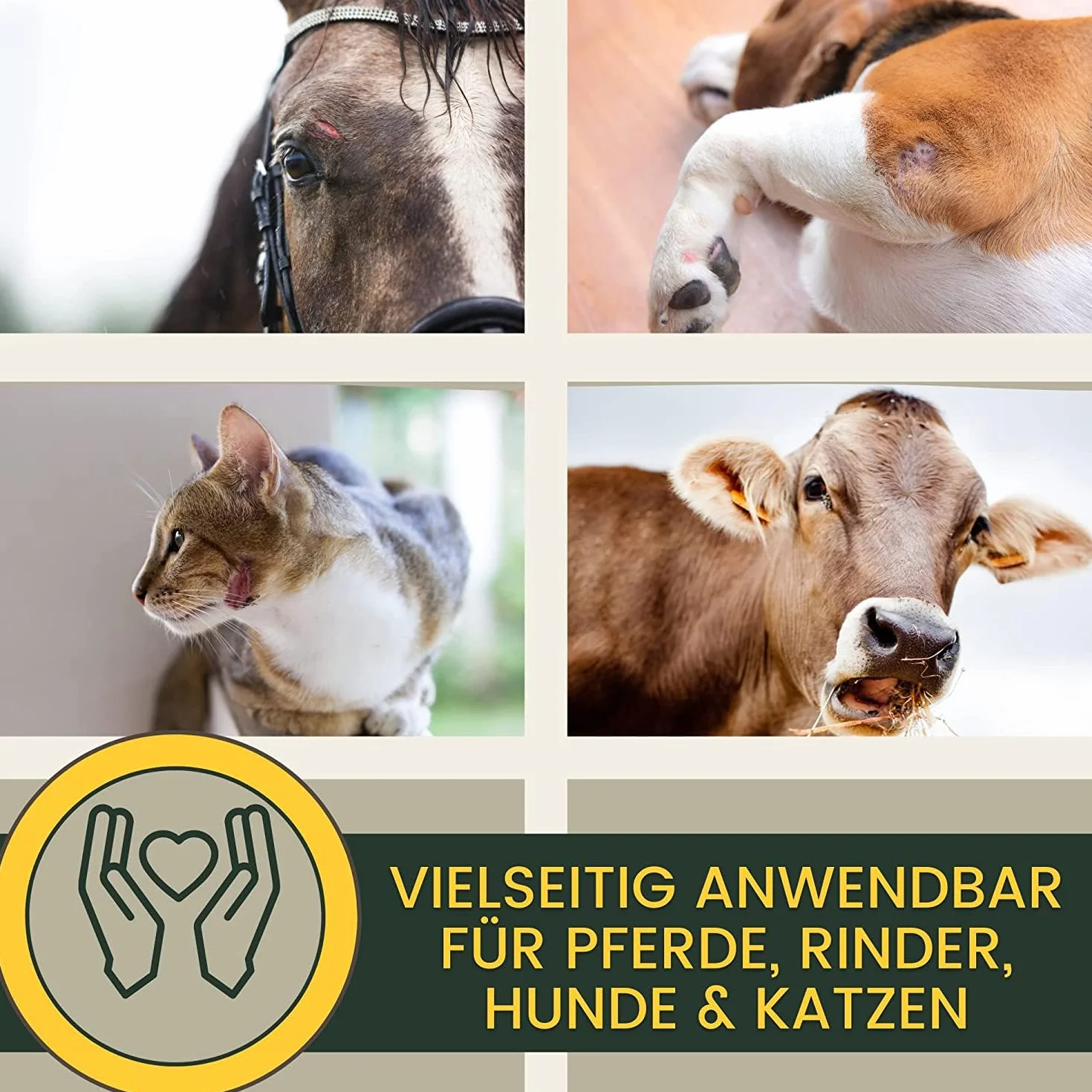 EMMA Unguento allo Zinco Cavallo Cane Gatto I Crema allo Zinco per ferite Aperte I Unguento per eczemi con Zinco per Il prurito dei Malati I Crema per la guarigione delle ferite I per Animali 250ml