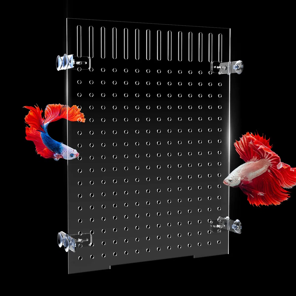 Cuyacili Divisori per Acquario Divisorio per Acquario in Acrilico con 8 Ventose Accessori Separatore di Pesce Piatto Trasparente 30 * 40 cm