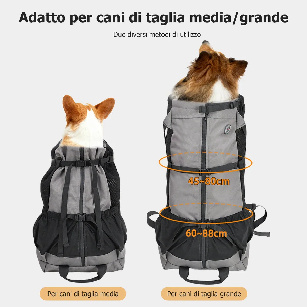 PETCUTE Zaino per Cani,Zaino Traspirante per Gatti con fodera Impermeabile,Trasportino Pieghevole per Cani con Imbracatura di Sicurezza,Imbottitura Rimovibile, per Viaggi,Passeggiate all'aperto